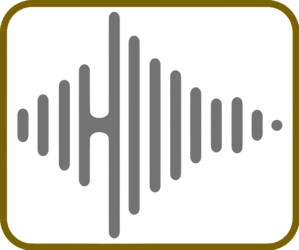 Precision Audio Service Co., Ltd.